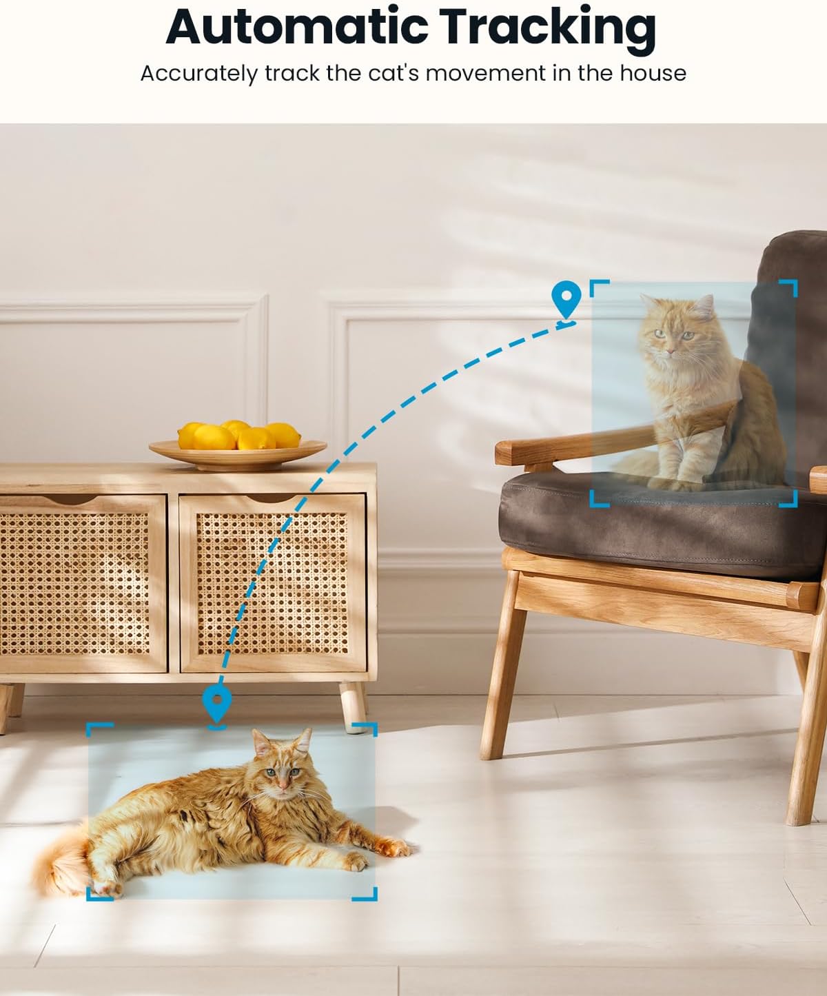 2K Überwachungskamera Innen WLAN 5GHz ieGeek SC1 PTZ 360° – Bild 7